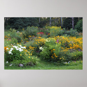 Colourful Late August Gardens! Poster
