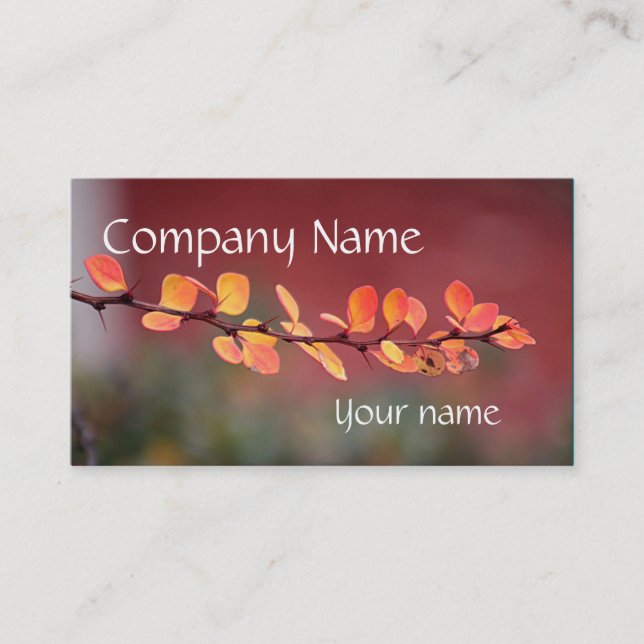 Colourful leaves business card (Front)