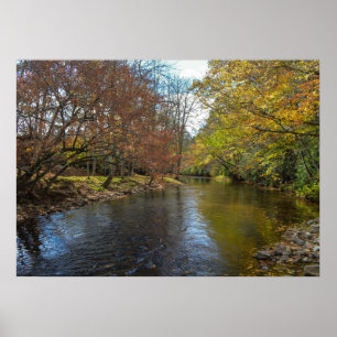 Colourful Leaves Fall Reflections on Autumn Stream Poster