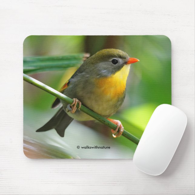 Colourful Leiothrix / Pekin Robin Songbird Mouse Pad (With Mouse)