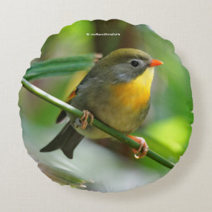 Colourful Leiothrix / Pekin Robin Songbird Round Cushion