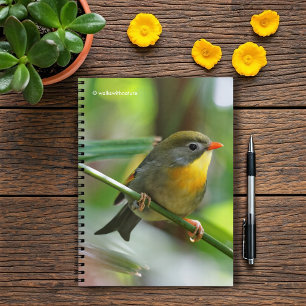Colourful Leiothrix / Pekin Robin Songbird Spiral Notebook