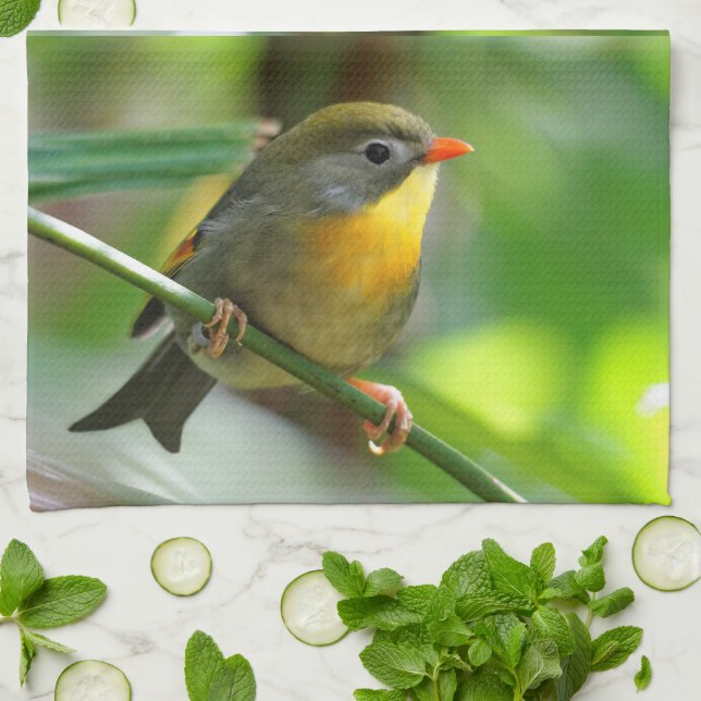 Colourful Leiothrix / Pekin Robin Songbird Tea Towel (Folded)