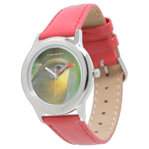 Colourful Leiothrix / Pekin Robin Songbird Watch