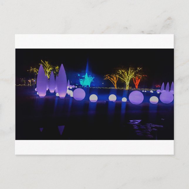 Colourful Light Sculptures Family Night Memory Postcard (Front)