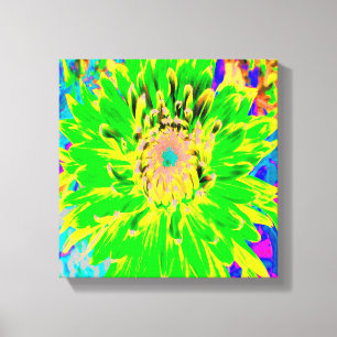 Colourful Lime Green and Yellow Blooming Dahlia Canvas Print