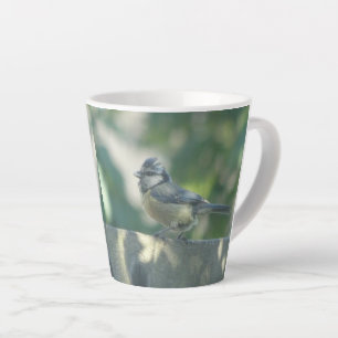 Colourful Little Bird Design Latte Mug