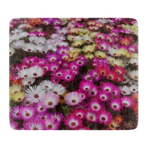 Colourful Livingstone Daisies Flowers Cutting Board