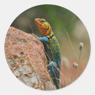 Colourful Lizard Classic Round Sticker