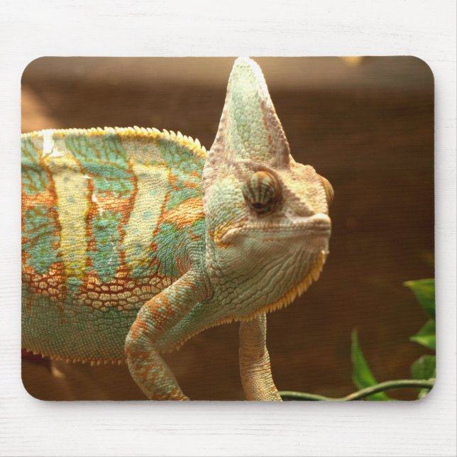 colourful lizzard mouse pad (Front)
