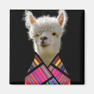 Colourful Llama Magnet