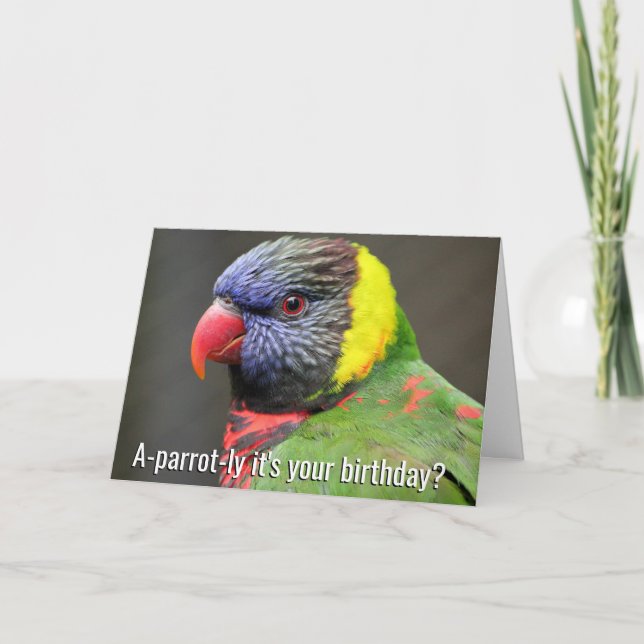 Colourful Lorikeet Birthday Card (Front)