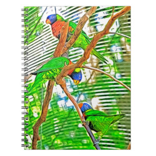 Colourful Loris on a branch - parrots  Notebook