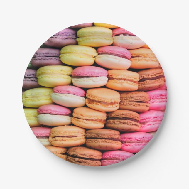 Colourful Macaroons Paper Plate (Front)