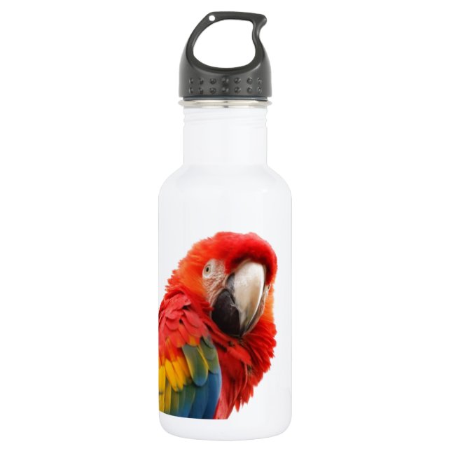 Colourful Macaw Chic Classy Mod Tropical 532 Ml Water Bottle (Front)
