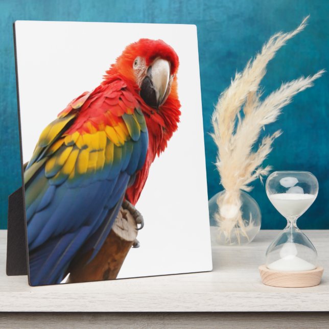 Colourful Macaw Chic Classy Mod Tropical Plaque (Side)