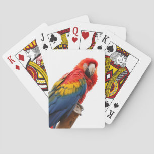 Colourful Macaw Chic Classy Mod Tropical Playing Cards