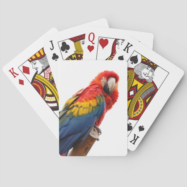 Colourful Macaw Chic Classy Mod Tropical Playing Cards (Back)