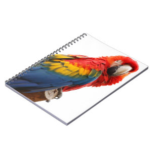 Colourful Macaw Chic Classy Mod Tropical Spiral Notebook