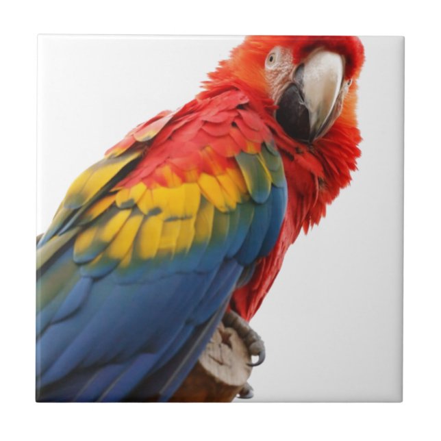 Colourful Macaw Chic Classy Mod Tropical Tile (Front)