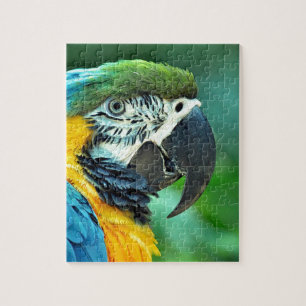 Colourful macaw parrot jigsaw puzzle