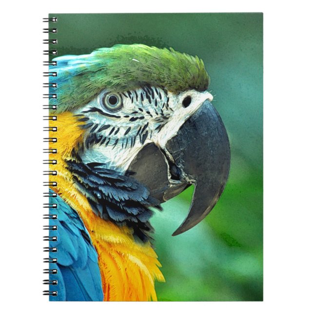 Colourful macaw parrot notebook (Front)