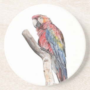 Colourful Macaw Parrot Watercolor Coaster