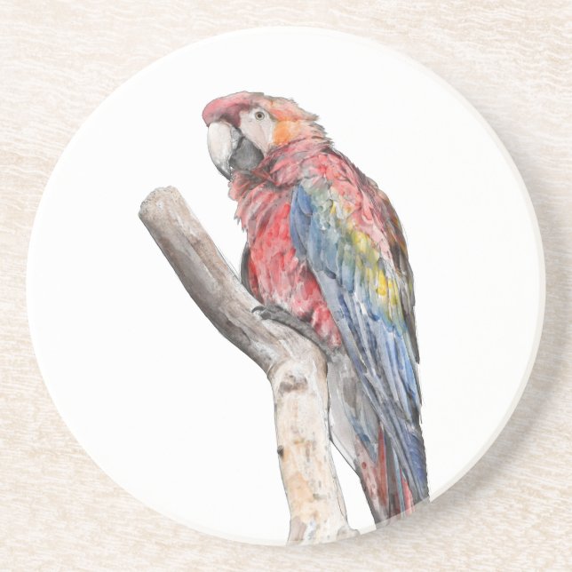 Colourful Macaw Parrot Watercolor Coaster (Front)