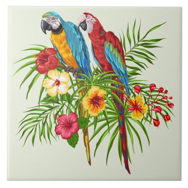 Colourful Macaw Parrots and Hibiscus Flowers  Tile (Front)