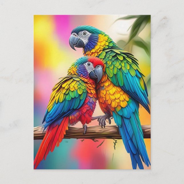 Colourful Macaw Parrots On A Branch-45739 Postcard (Front)