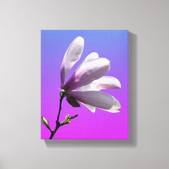 Colourful Magnolia Wrapped Canvas (Front)