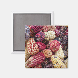 Colourful Maize Magnet