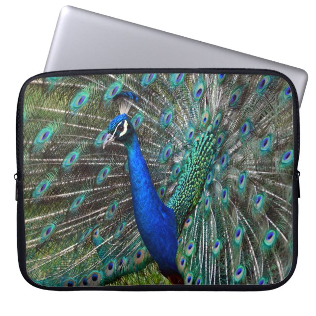 Colourful male peacock laptop sleeve (Front)