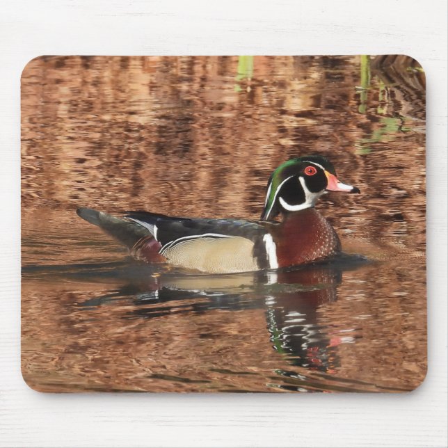 Colourful Male Wood Duck Mouse Pad (Front)