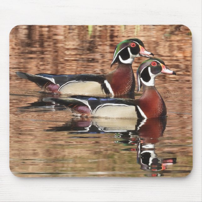 Colourful Male Wood Ducks Mouse Pad (Front)
