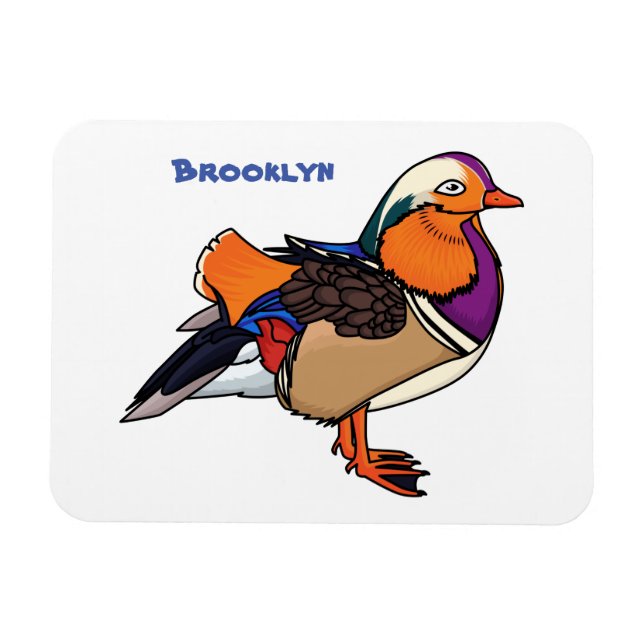 Colourful mandarin duck illustration magnet (Horizontal)
