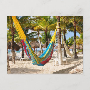 Colourful Mayan Hammock Cozumel Mexico Postcard
