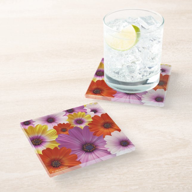 Colourful Medley of African Daisies Flowers Glass Coaster (Angled)