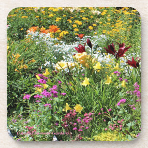 Colourful Mid Summer Gardens! Coaster