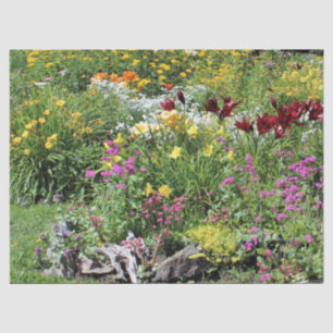 Colourful Mid Summer Gardens! Tissue Paper