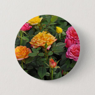 Colourful miniature roses 6 cm round badge