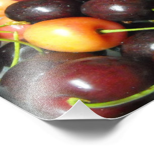 Colourful Mixed Cherries Food Photography Prints