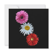 Colourful Mixed Floral Daisy Flat Note Card