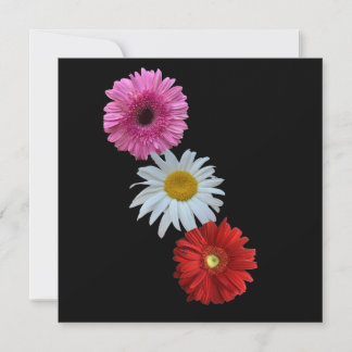 Colourful Mixed Floral Daisy Flat Note Card