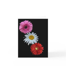Colourful Mixed Floral Daisy Flat Note Card