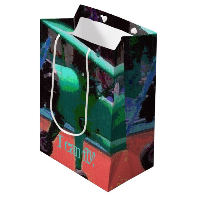 Colourful Model Plane Medium Gift Bag (Front Angled)