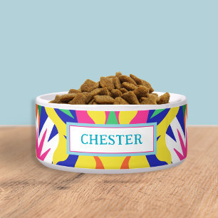 Colourful Modern Ceramic Pet Bowl