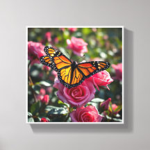 Colourful Monarch Butterfly Displaying its Wings 