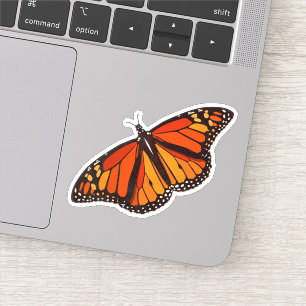 Colourful Monarch Butterfly with wings open