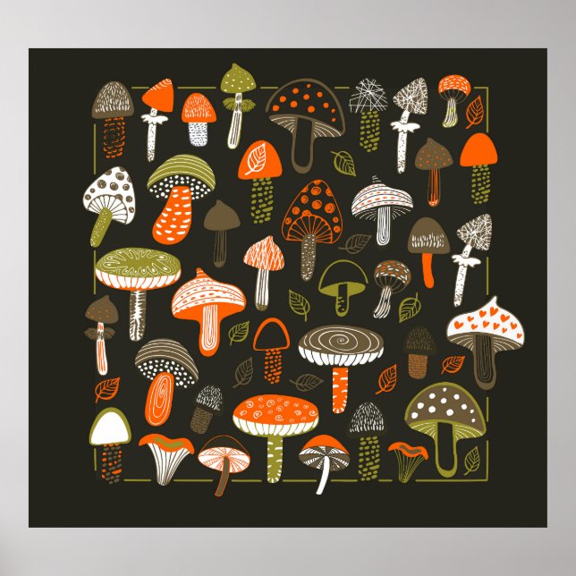 Colourful Mushrooms: Fairy Collection Poster (Front)